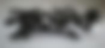 Autoportrait (preview)
