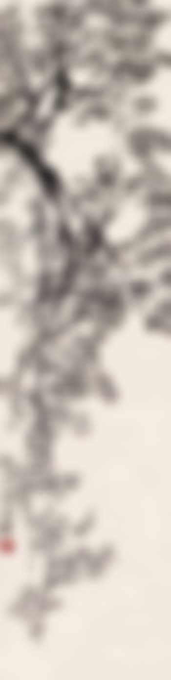 Plum blossoms (preview)
