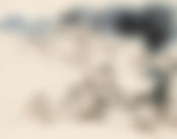 Hermit (preview)
