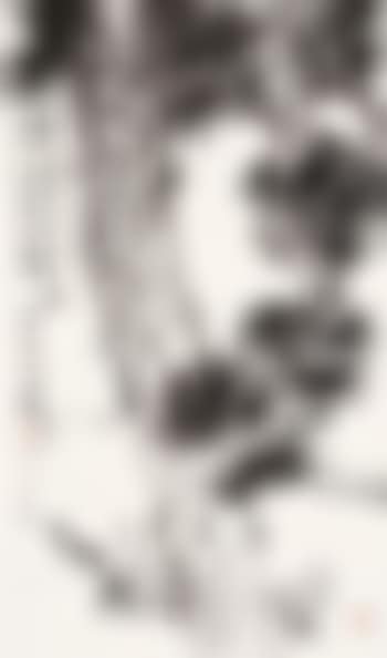 Pine tree and stone (preview)