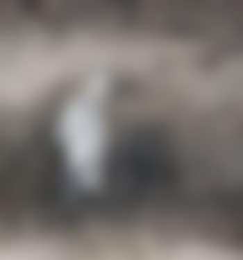 Egret (preview)