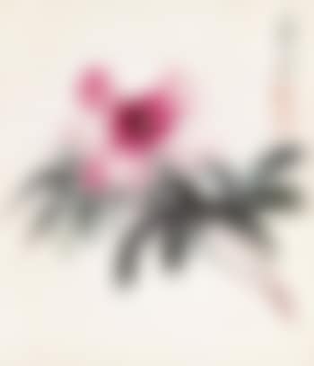 Peony (preview)