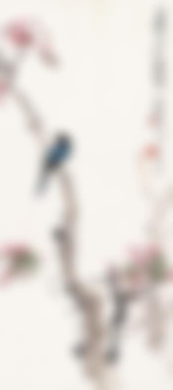 Titmouse (preview)