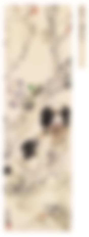 Dog (preview)
