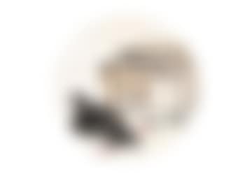 Pigeon (preview)