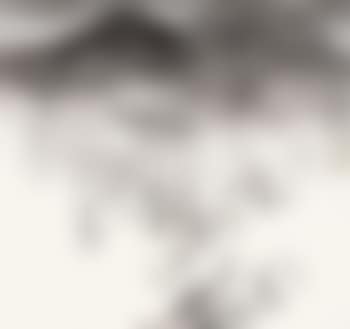 Misty rain (preview)