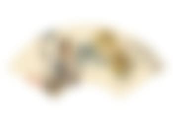 Chrysanthemums (preview)