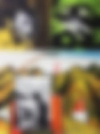 Painter's view (preview)