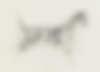 Katze (preview)