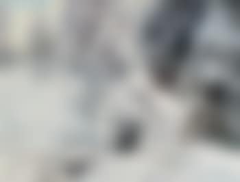 Winterlandschaft (preview)