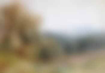 A grey morning (preview)