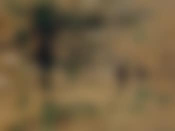 Landscape (preview)