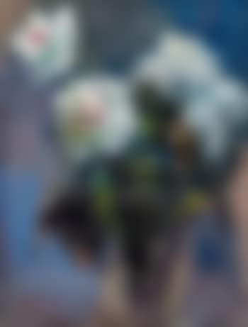 Blumen (preview)