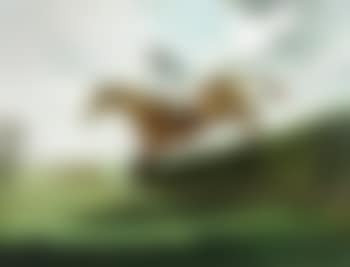 Taking a fence (preview)