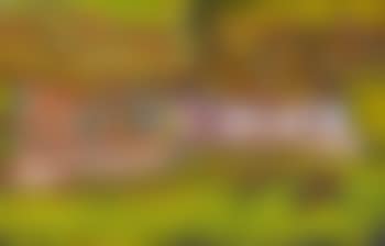 La Solitude (preview)