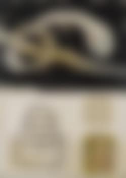 Ohne Titel (preview)