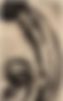 Ohne Titel (preview)