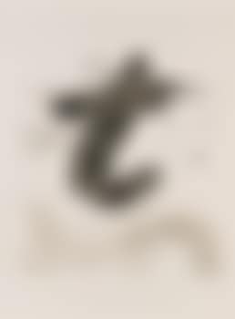 Petit t (preview)