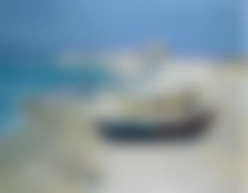 Les barques au Saintes Marie de la Mer (preview)