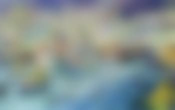Venedig (preview)