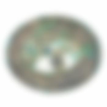 Mottled fish (preview)