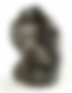 Selbstbildnis (preview)