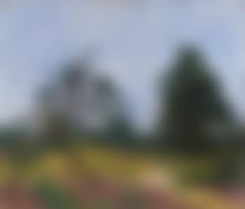 Heide und Bäume (preview)