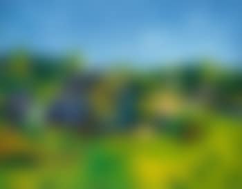 Mittag im dorf (preview)