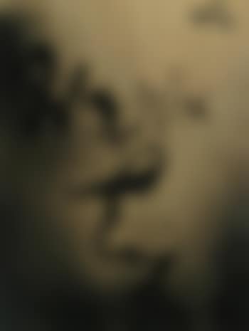 Untitled (preview)