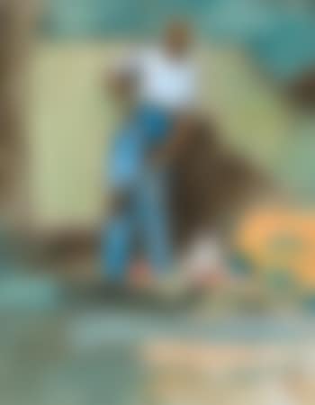 Gärtner auf der Oschwand (preview)