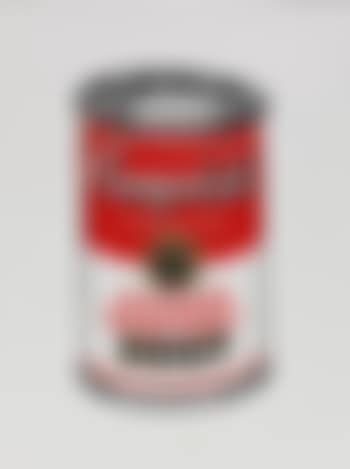 Andy Warhol Campbell´s Soup Can - Chicken Vegetable (preview)
