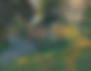 Sun dappled garden (preview)