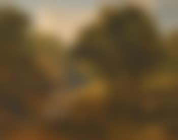 A view on the river Dargle, Co. Wicklow (preview)
