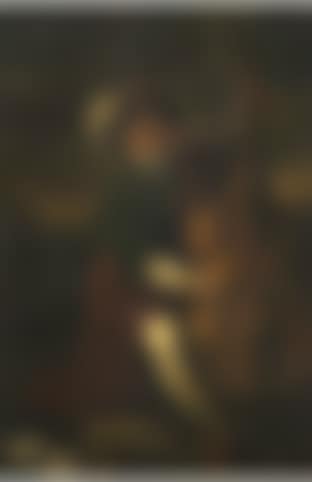 Joueur de violone by Italian School (preview)