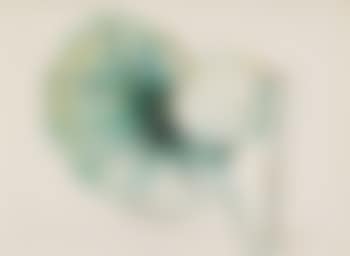 Lotosblüte mit grossem Blatt (preview)