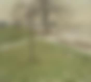 Niederrheinische landschaft im vorfrühling (preview)