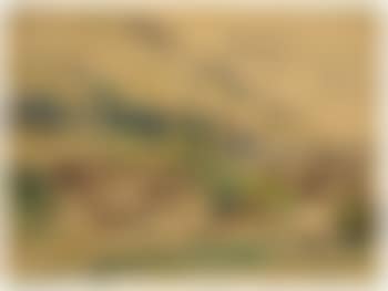 Landschaft bei Hetschburg (preview)