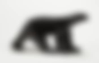 L'ours blanc (preview)
