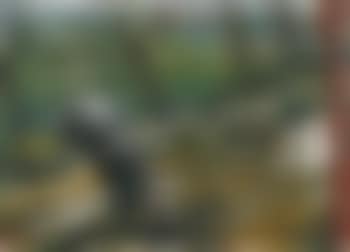 Landregen (preview)