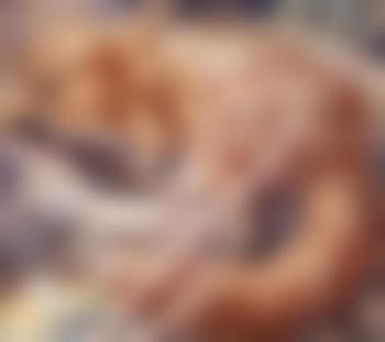 Resting fox (preview)