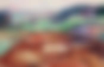 Fra Ekely (preview)
