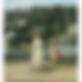 Afternoon stroll (preview)