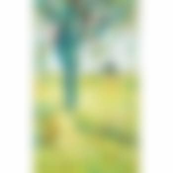 Champ de blé (preview)