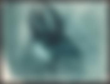 Sans titre (Cabeza de cabra) (preview)