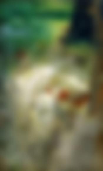 Kärleksnymf (preview)