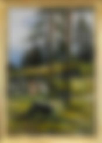 Barn på skogspromenad (preview)
