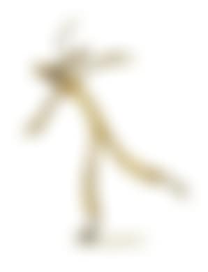 An ice skater (preview)