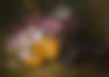 Stillleben (preview)