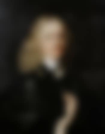 Portrait of a gentleman, bust-length, in a black mantle and a white chemise (preview)