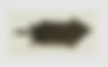 A mole (preview)